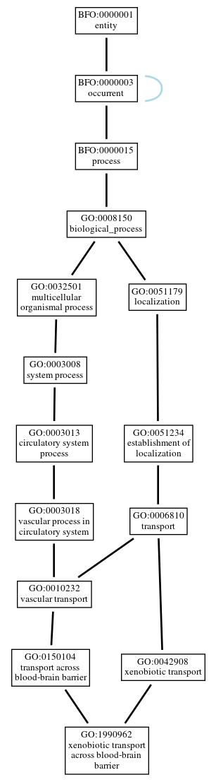 Graph of GO:1990962