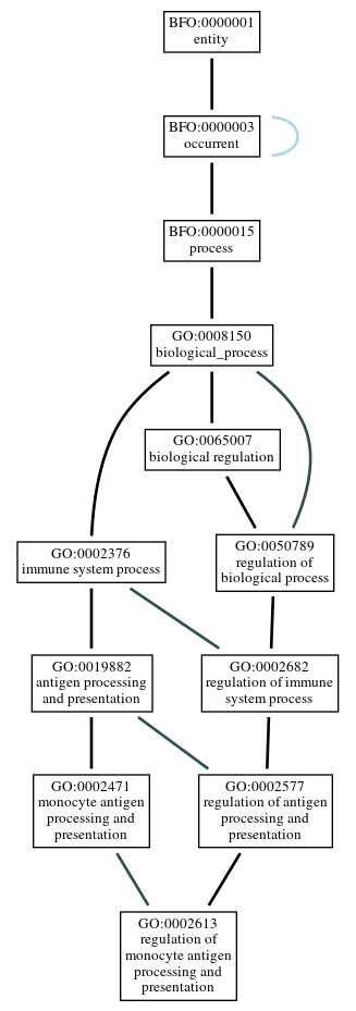 Graph of GO:0002613