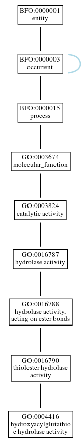 Graph of GO:0004416
