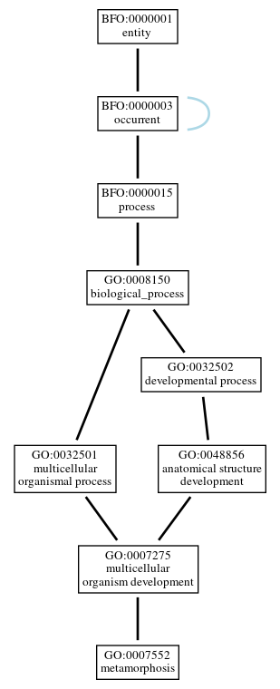 Graph of GO:0007552
