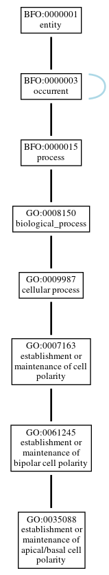 Graph of GO:0035088