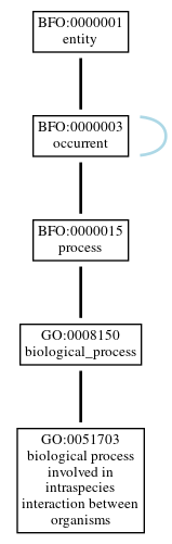 Graph of GO:0051703