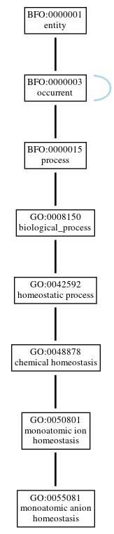 Graph of GO:0055081