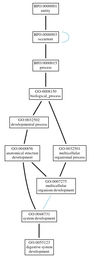 Graph of GO:0055123