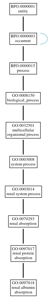 Graph of GO:0097018