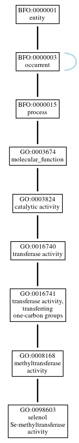 Graph of GO:0098603