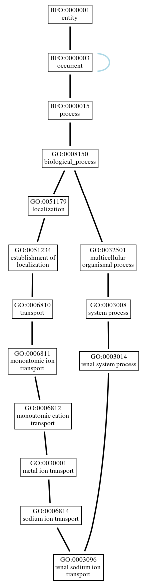 Graph of GO:0003096
