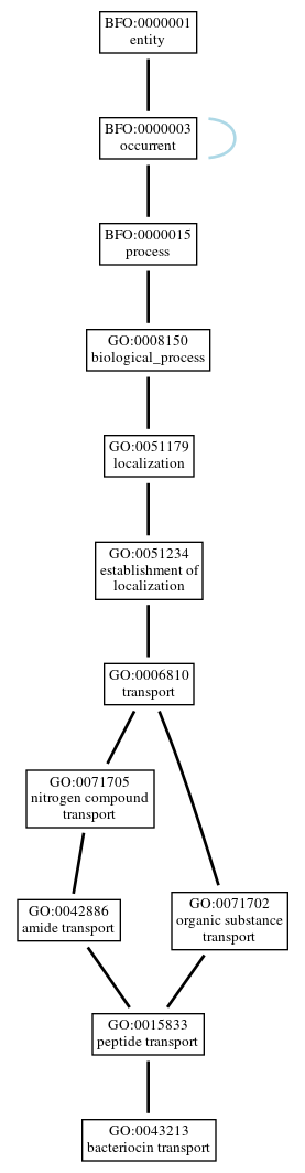 Graph of GO:0043213