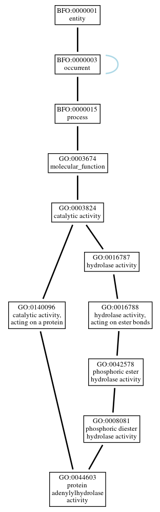 Graph of GO:0044603