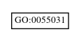 Graph of GO:0055031