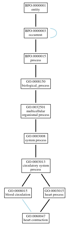Graph of GO:0060047