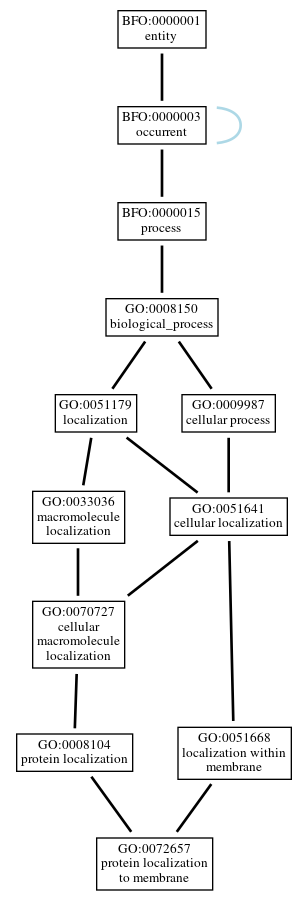 Graph of GO:0072657
