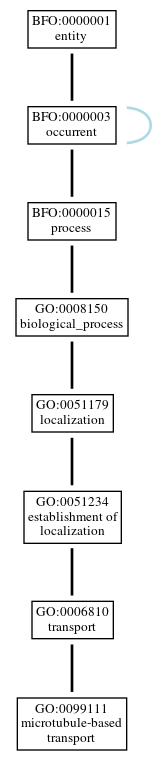 Graph of GO:0099111