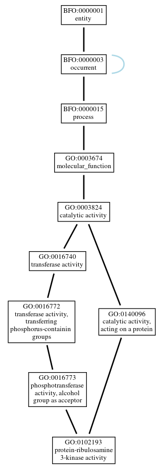 Graph of GO:0102193