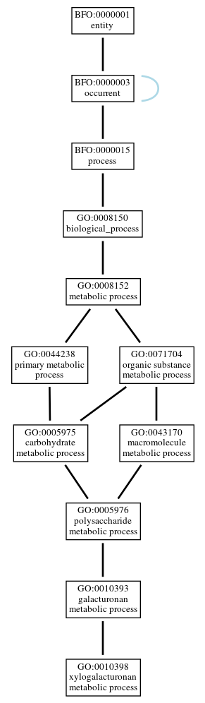 Graph of GO:0010398
