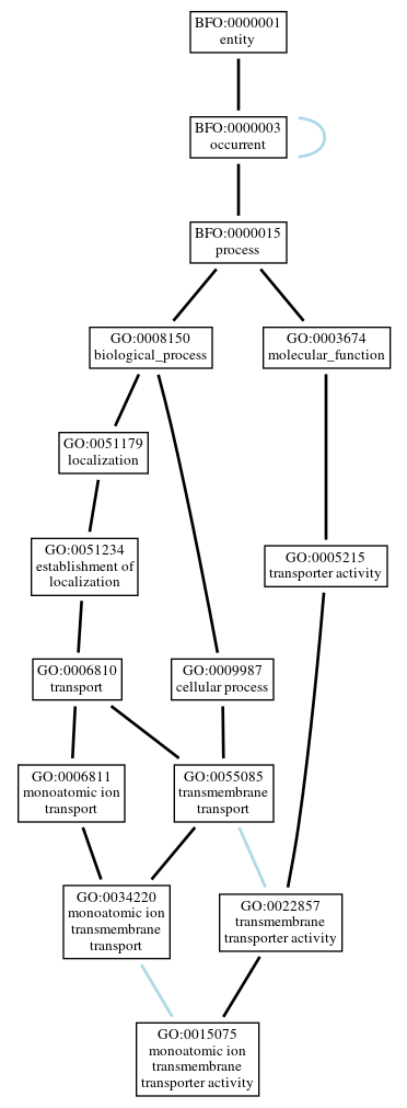 Graph of GO:0015075