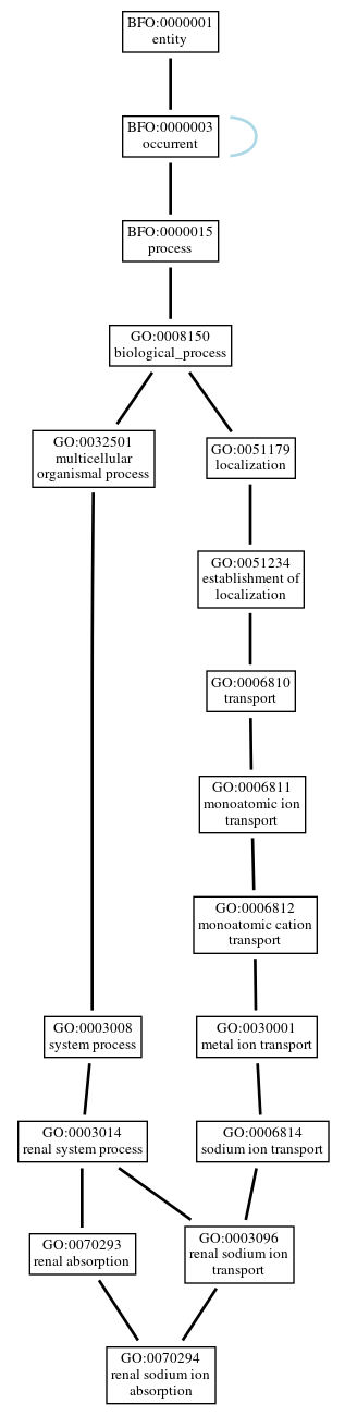 Graph of GO:0070294