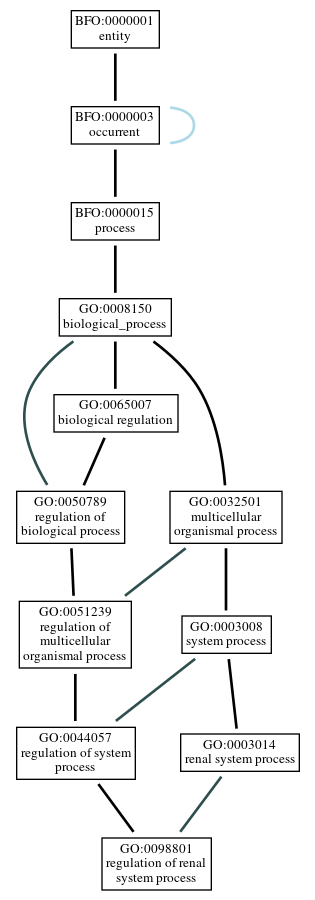 Graph of GO:0098801