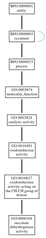 Graph of GO:0000104