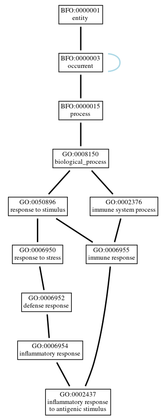 Graph of GO:0002437