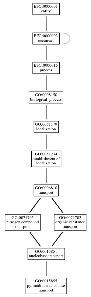 Graph of GO:0015855