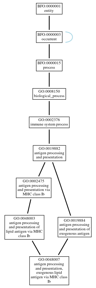 Graph of GO:0048007