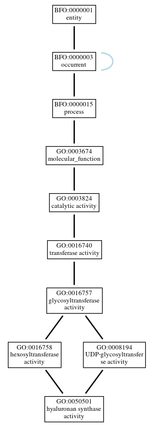Graph of GO:0050501