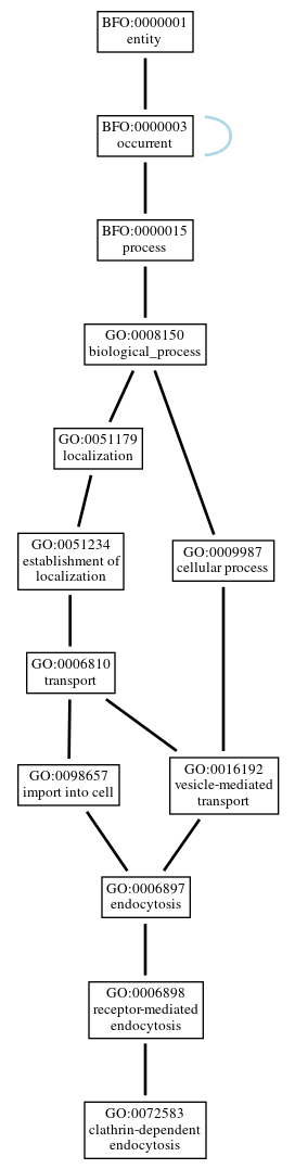 Graph of GO:0072583
