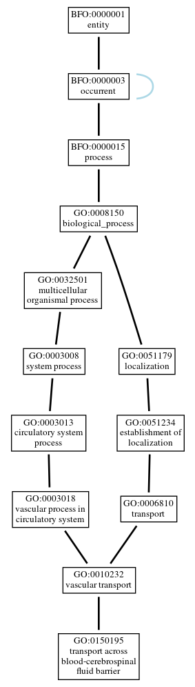 Graph of GO:0150195