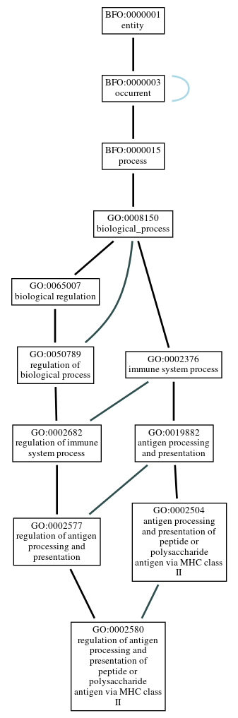 Graph of GO:0002580