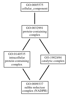 Graph of GO:0009337