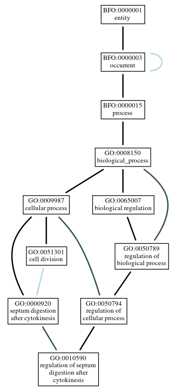 Graph of GO:0010590