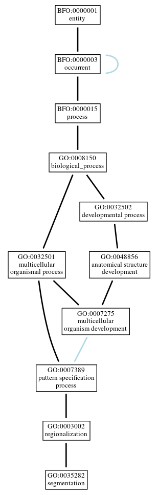 Graph of GO:0035282