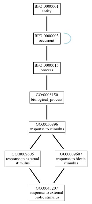 Graph of GO:0043207