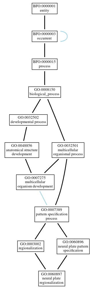 Graph of GO:0060897