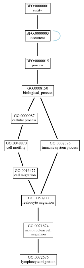 Graph of GO:0072676