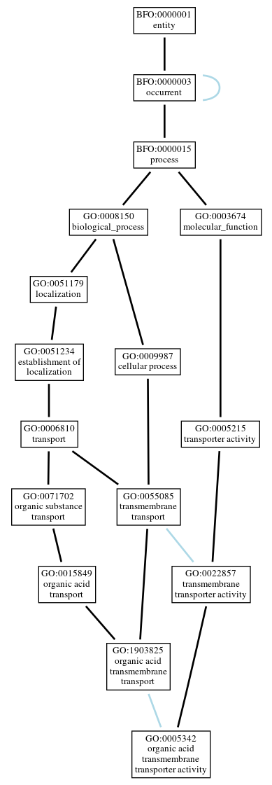 Graph of GO:0005342