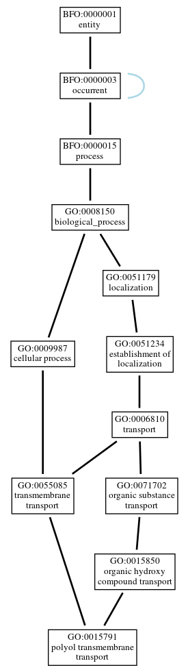 Graph of GO:0015791