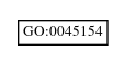 Graph of GO:0045154