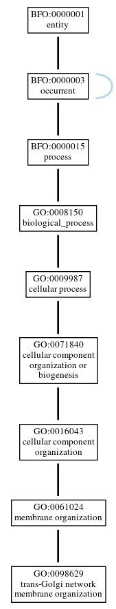 Graph of GO:0098629
