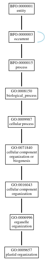 Graph of GO:0009657