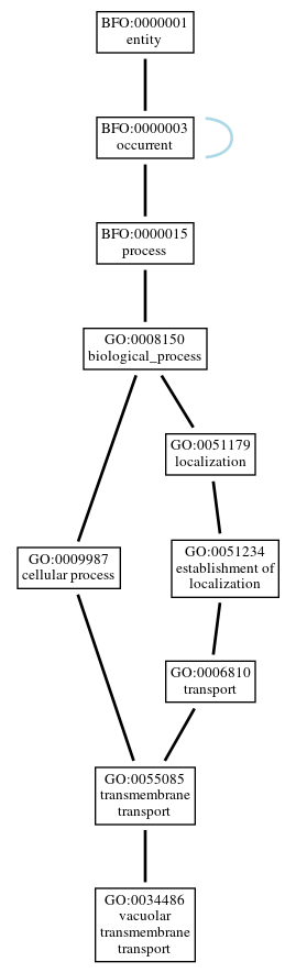Graph of GO:0034486