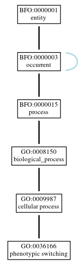 Graph of GO:0036166