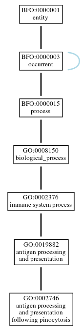 Graph of GO:0002746