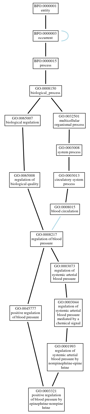 Graph of GO:0003321