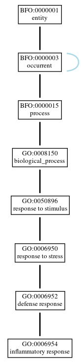 Graph of GO:0006954