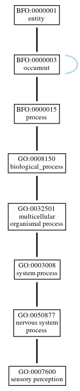 Graph of GO:0007600