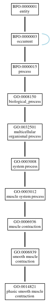 Graph of GO:0014821