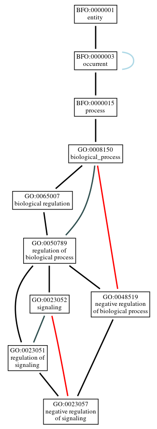 Graph of GO:0023057