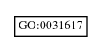 Graph of GO:0031617